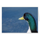 Search for ducky cards White