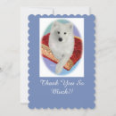 Search for samoyed dog cards Pets
