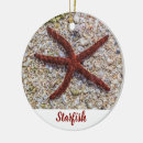 Search for underwater christmas tree decorations Ocean