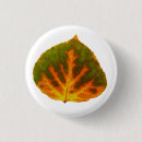 Search for yellow leafs badges Leaves