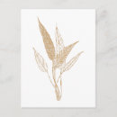 Search for botanical postcards Floral