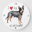 Search for queensland heeler posters Australian cattle dog