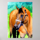 Search for halter Arabian