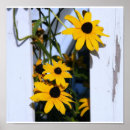 Search for picket posters Flowers