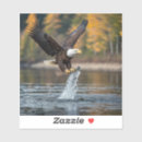 Search for eagle images stickers Nature