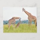 Search for getty postcards Cute