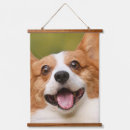 Search for picture frames art Dog
