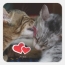 Search for cute kitten stickers Animals