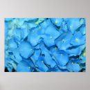 Search for winter roses posters Nature