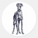 Search for breed stickers Greyhound