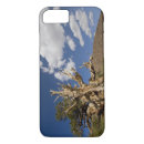 Search for sierra iphone cases Mountain