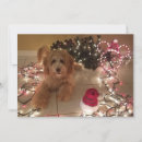 Search for labradoodle christmas cards Dog