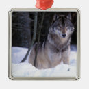 Search for grey wolf christmas tree decorations Forest