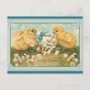 Search for vintage easter chicks postcards Retro