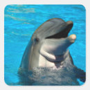 Search for bottlenose stickers Animal