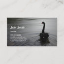 Search for black swan Elegant