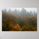 Search for autumn mist art Nature