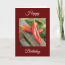 Search for chili cards Pepper