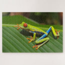Search for tiny frog Green