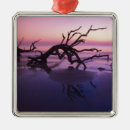 Search for georgia for christmas tree decorations Driftwood