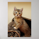 Search for glamour girl posters Cute