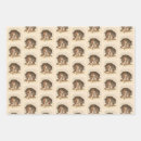 Search for cats wrapping paper Winter
