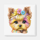 Search for yorkies magnets Puppies