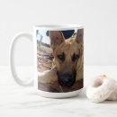 Search for sleepy dog mugs Pet