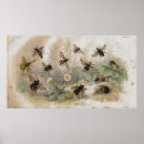 Search for vintage bee art Garden