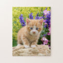 Search for ginger cat puzzles Cute