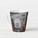 Search for bull mugs Pet