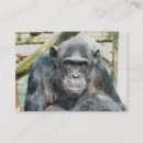 Search for ape business cards Cute