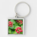 Search for ripe key rings Food