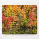 Search for overlook mousepads Forest