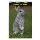Search for rabbit calendars Hares