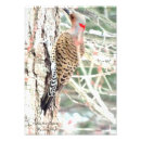 Search for flicker art Northern