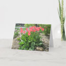Search for fragrant cards Bloom