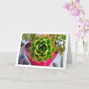 Search for decoration day cards Floral