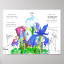 Search for february posters Violets