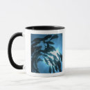 Search for galapagos mugs Nature