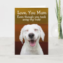 Search for funny labrador birthday cards Humour