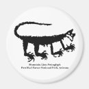 Search for arizona magnets New mexico