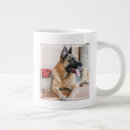 Search for resting mugs Dog