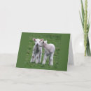 Search for double birthday cards Photography