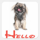 Search for hi hello stickers Puppy