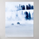 Search for geothermal posters Bison
