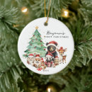 Search for animals christmas tree decorations Forest