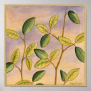 Search for background posters Green