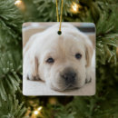 Search for labrador retriever christmas tree decorations Puppy