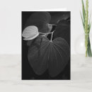 Search for leaf vein postcards Garden
